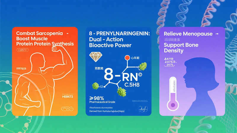 High-Purity 8-PN: Dual Boost for Muscle & Menopause